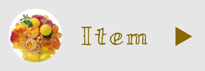 長崎の写真館コーロフィルムアイテム